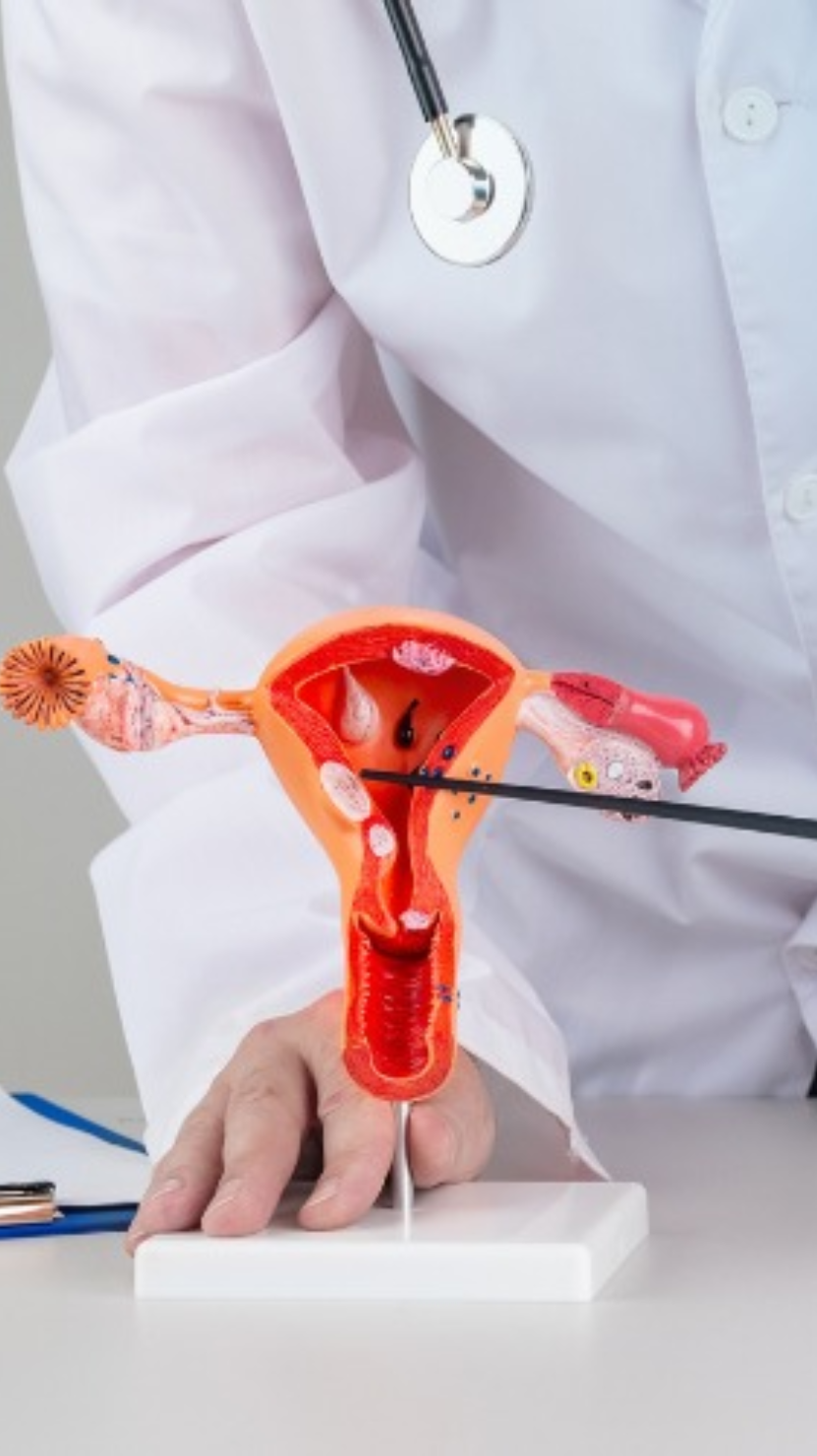 Hysteroscopy uterine cavity examination for fertility at AnuSri Hospitals Secunderabad Hyderabad